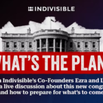 What's The Plan - Indivisible leaders' political update @ Zoom